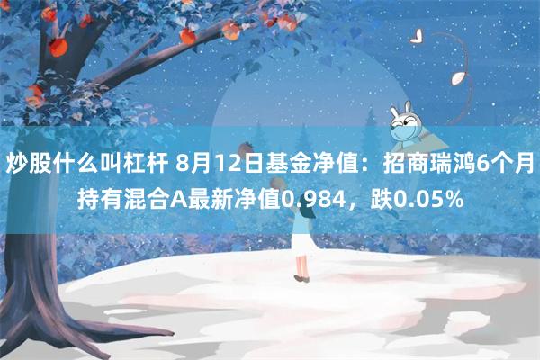 炒股什么叫杠杆 8月12日基金净值：招商瑞鸿6个月持有混合A最新净值0.984，跌0.05%