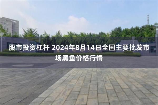 股市投资杠杆 2024年8月14日全国主要批发市场黑鱼价格行情