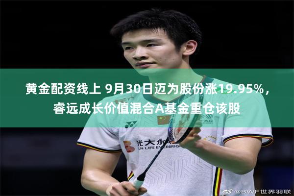 黄金配资线上 9月30日迈为股份涨19.95%，睿远成长价值混合A基金重仓该股