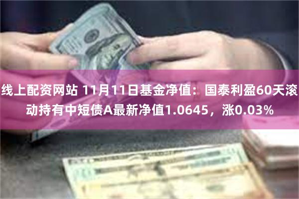 线上配资网站 11月11日基金净值：国泰利盈60天滚动持有中短债A最新净值1.0645，涨0.03%