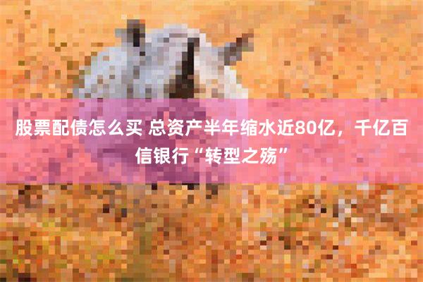 股票配债怎么买 总资产半年缩水近80亿，千亿百信银行“转型之殇”