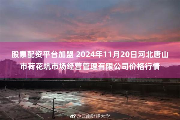 股票配资平台加盟 2024年11月20日河北唐山市荷花坑市场经营管理有限公司价格行情