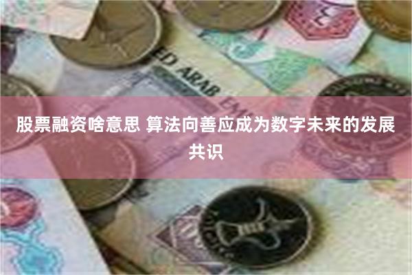 股票融资啥意思 算法向善应成为数字未来的发展共识