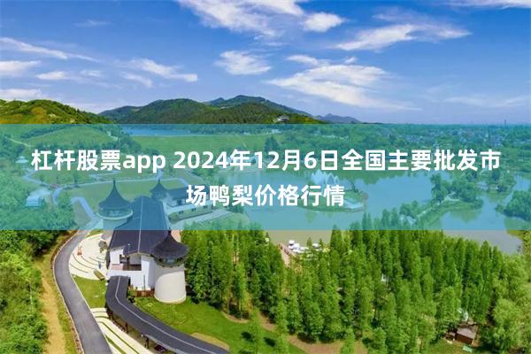 杠杆股票app 2024年12月6日全国主要批发市场鸭梨价格行情