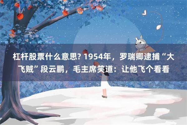 杠杆股票什么意思? 1954年，罗瑞卿逮捕“大飞贼”段云鹏，毛主席笑道：让他飞个看看